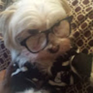 Meet your Posher, Mz